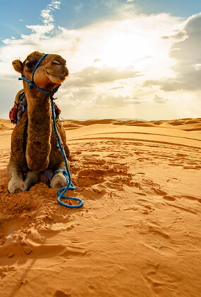 Casablanca desert tours 5 days